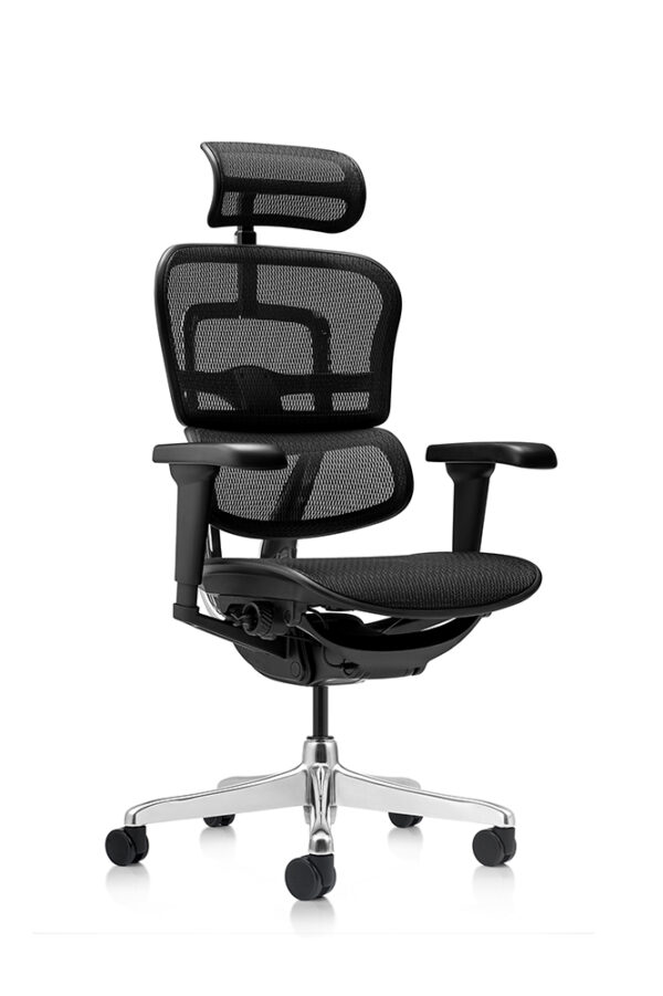 Ofiergohuman Silla Presidente - Imagen 4