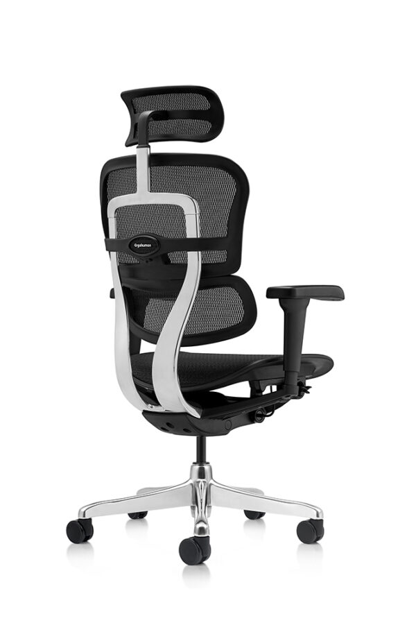 Ofiergohuman Silla Presidente - Imagen 5