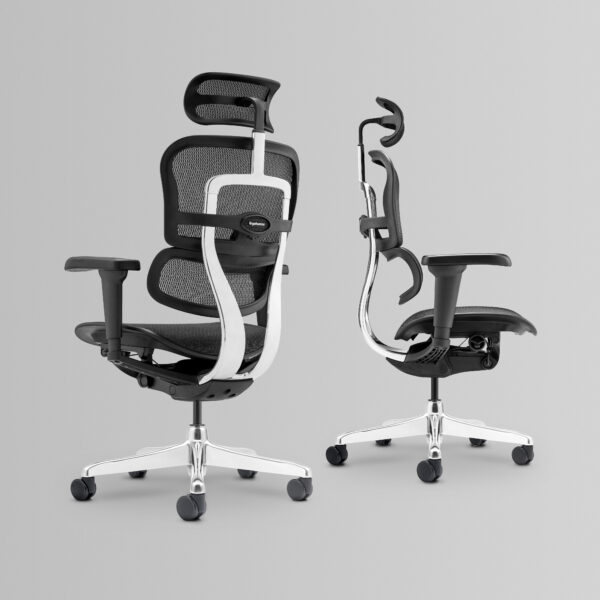 Ofiergohuman Silla Presidente - Imagen 2