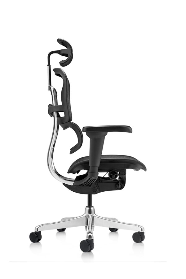 Ofiergohuman Silla Presidente - Imagen 7