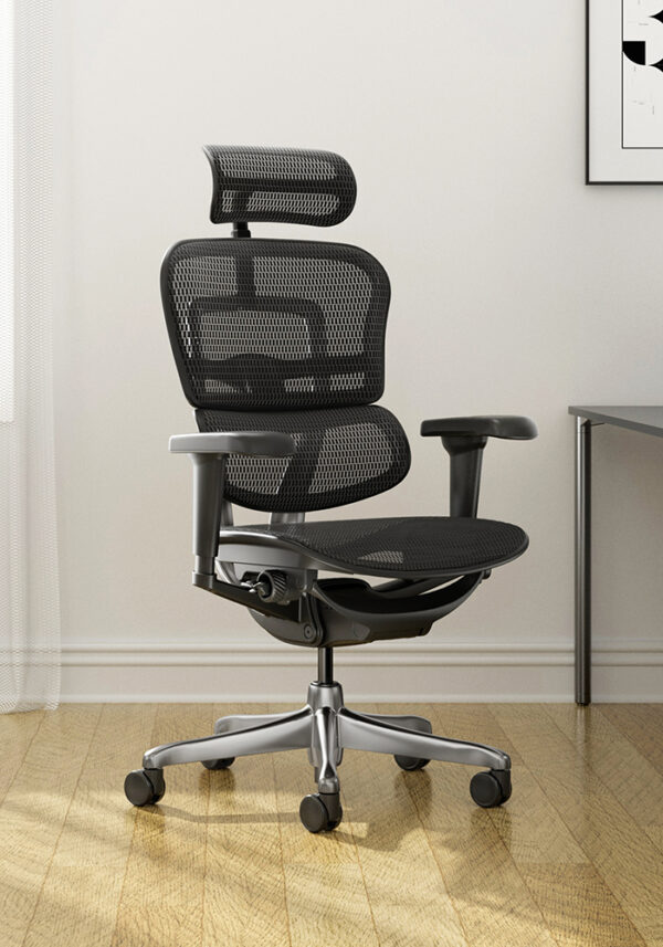 Ofiergohuman Silla Presidente - Imagen 8